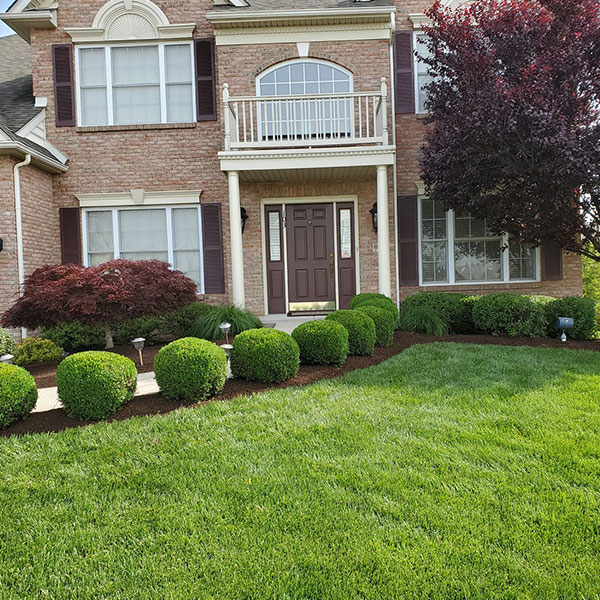 Landscaping Services Springfield, PA